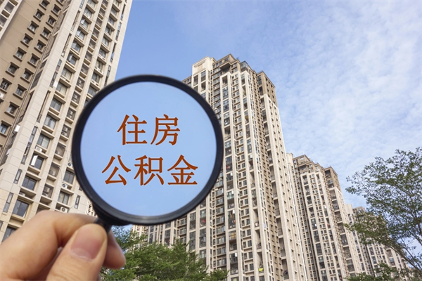 肇州离职多久可以取住房公积金(离职多久后能取公积金) 肇州离职多久可以取住房公积金(离职多久后能取公积金)